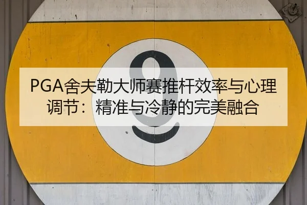 she-fu-lei-da-shi-sai-tui-gan-xiao-lv-yu-xin-li-tiao-jie-jing-zhun-yu-leng-jing-de-wan-mei-rong-he-3-878.jpg