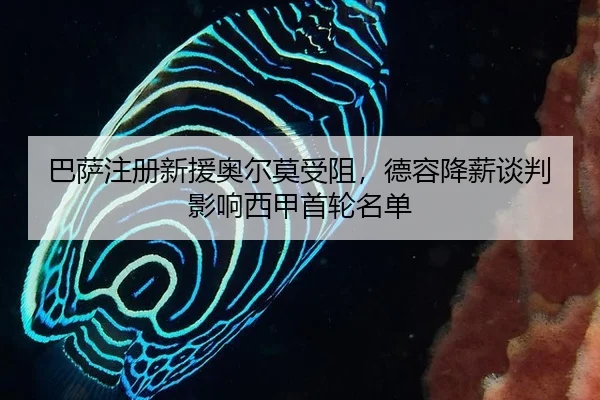 巴萨注册新援奥尔莫受阻，德容降薪谈判影响西甲首轮名单